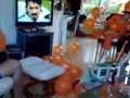 Nederland - Italie Volkslied