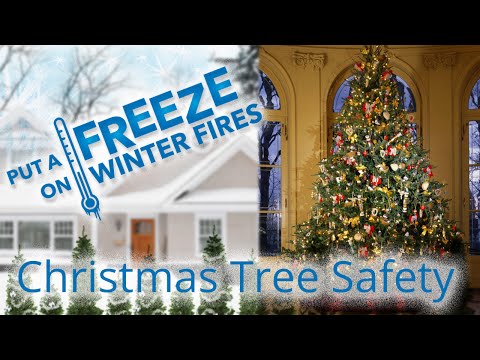 how to keep xmas tree from drying out