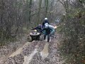Rando Quadimania