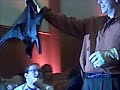 Bat Encounter
