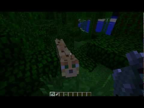 how to get a cat i minecraft