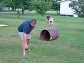 Gretchen Bird Dog Training