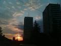 Black Ring Crew - Sunce Sija