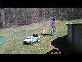 Working with Briggs in the backyard....