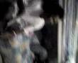 videos de TABANON DE FIN DE AÑO