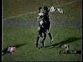 Cipriani Independiente - Mendoza