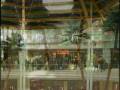 videos de riccione...vacanze 2008...