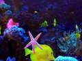 aquario em Bad Godesberg