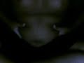 My fat body