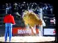 eduardo gaspar x curicaca