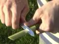 The Legendary Willow Whistle