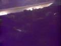 ASI ESTABA EL PALMA ARENA EN EL CONC. DE ESTOPAAA