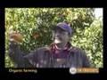 Organic Farming, part 1