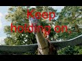 keep-holding-on-eragon-lyrics.html