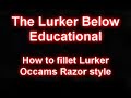 The Lurker Below Educational