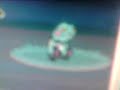 Pokemon Platinum: Shiny Croagunk Pokemon Platinum: Shiny Croagunk
