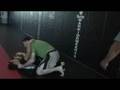 Brazilian Top Team - Bebeo Duarte by LVCC