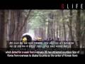 Nami Island, Gapyeong-gun, Gyeonggi-do - YouTube