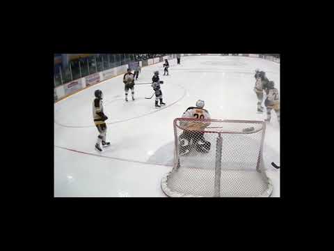 2023-24 Noah Davis SIJHL Highlights