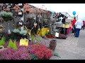 Kotka, Hamina, Imatra