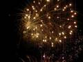 FOCS FIRES 2008 - 1