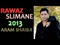 aram shaida 2013 by rawaz slimane