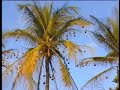 Le Sud