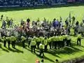 pitch-invasion.html