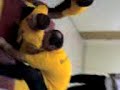 Tazed