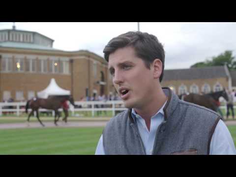 Tattersalls July Sale 2017 Day 3