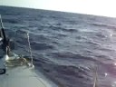 videos voile