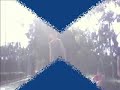 tsu.wmv
