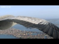 Перелет птиц через Венецию