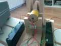 videos de Bedini ssg