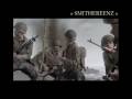 Game opening sequence: Call of Duty 2 Game opening sequence: Call of Duty 2