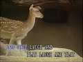 Mar Has A little Lamb