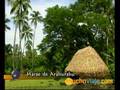 VIAJES A POLINESIA . Sus islas - MUCHOVIAJE.COM