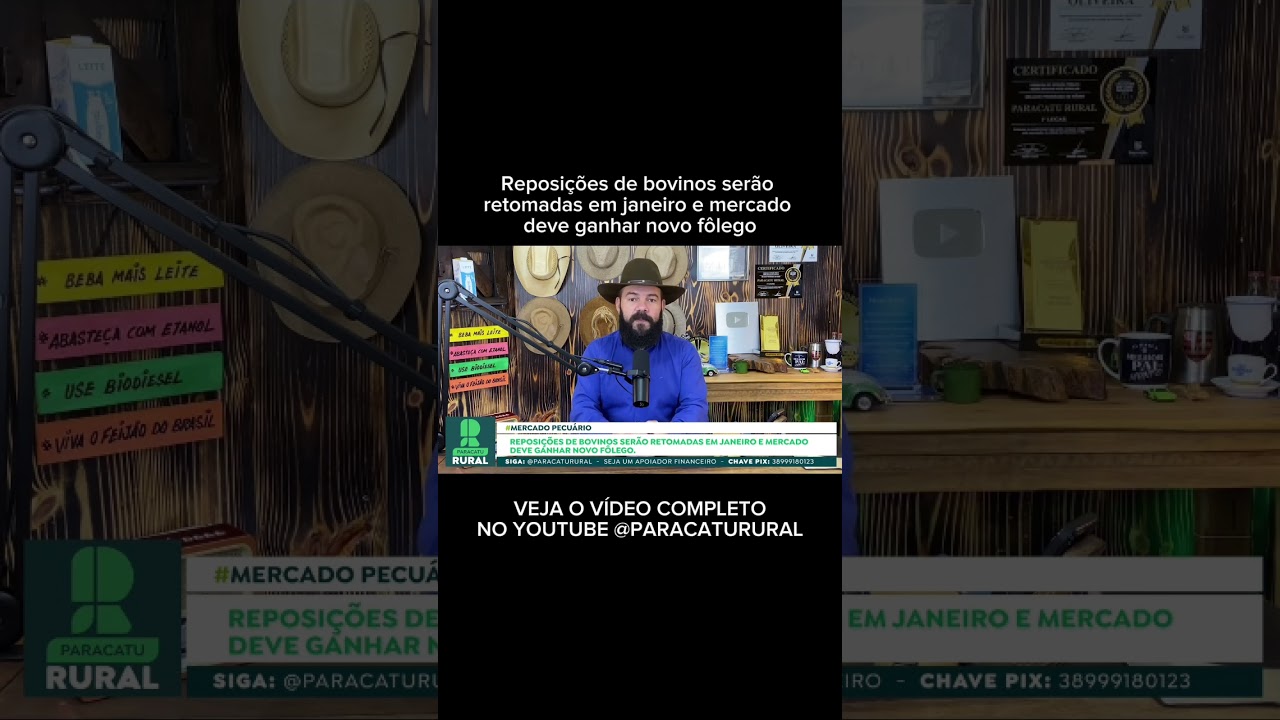 Reposições de bovinos serão retomadas em janeiro e mercado deve ganhar novo fôlego