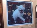 Cat laughing at Peanut the Pug