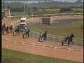 videos de RACE TWO, July 27, 2008. Dundalk Stadium Harness Racing