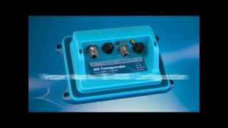 Joe's Flies Black/Gold Joes Special Size #8 - High Quality/Fishing Accessory