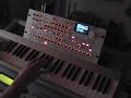 solo synth radias