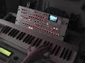 solo synth radias