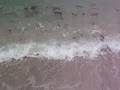 Palm Island Waves