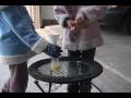 Jenna's Science Project 2009