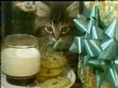 Bangor Savings Bank - Classic Christmas Kittens Commercial