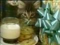 Bangor Savings Bank - Classic Christmas Kittens Commercial
