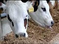 Virginia Farm Bureau - ABC\ Virginia Farm Bureau - ABC\