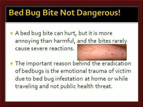 how to isolate bed bugs