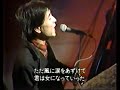 青春の影-チューリップ